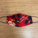 Cotton Canvas Fabric Face Mask