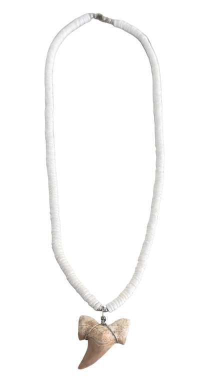 Shark Tooth White Shell Necklace